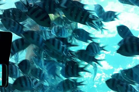 Viaggio semi sottomarino a Hurghada