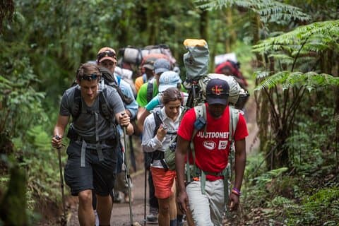 Cumbre Rongai Kilimanjaro de 7 días