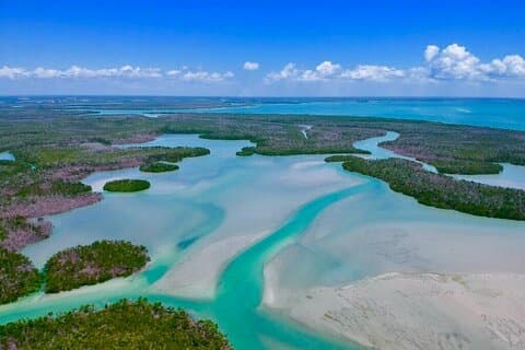 Tour privado de vida salvaje y bombardeos en Marco Island