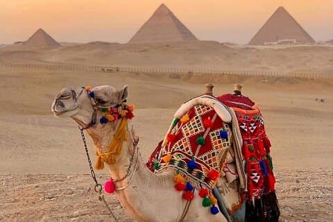 Kairo: Pyramider, Memphis, Sakkara, Dahshur Lyx äventyr!