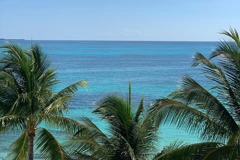 Halvdag privat dagstur fra Akumal til Cancun