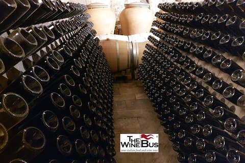 Privat Irpinia Wine Tour fra SORRENTO med sommelier