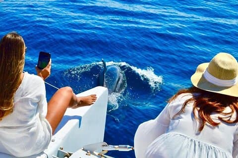 Schnorcheln Katamaran Tour in Santa Maria Bay