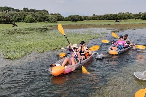 Kayak or Stand Up Paddle in Shkodra Lake and Buna River