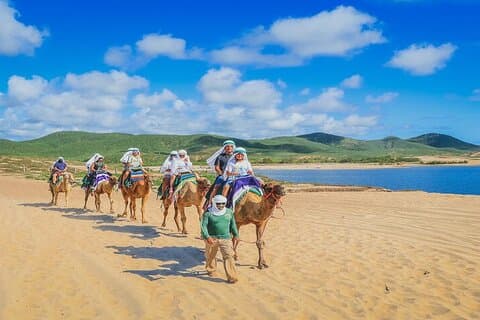 Camel Ride & ATV Combo in Migriño, Mexico