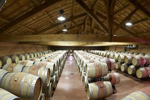Excursão privada de vinho de meio dia a Cotes du Rhone saindo de Lyon