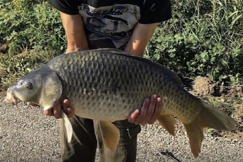 Introduction to fishing in Strasbourg