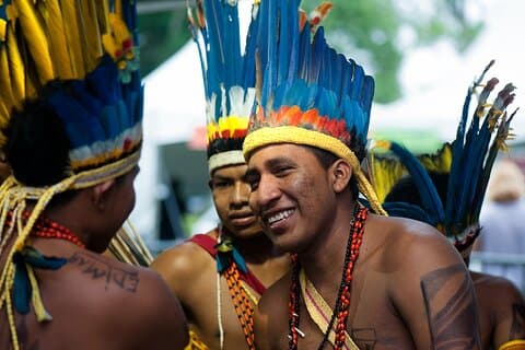 Indigenous Guarani Village & Atlantic Forest — Private Day Trip