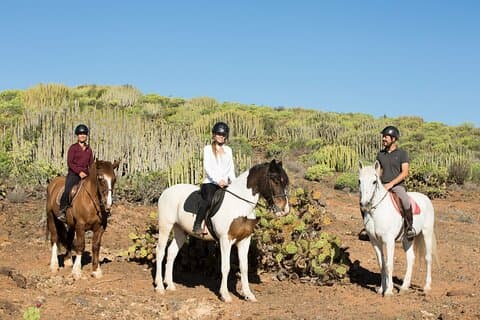 La migliore esperienza di equitazione a Gran Canaria (2 ore)