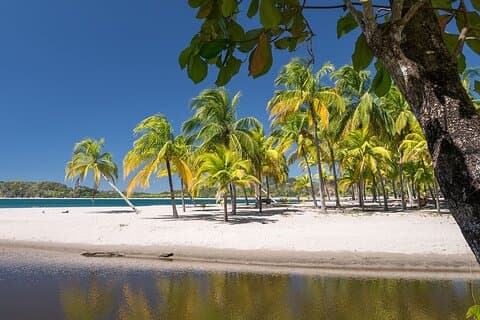 Privat transfer fra Liberia lufthavn til Tamarindo