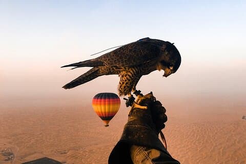 Goditi l'incredibile deserto di Dubai in mongolfiera con Falcon Show e Camel