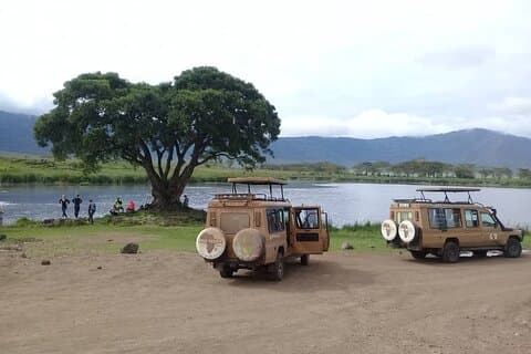 7 Tage Tansania Mittelklasse-Lodge-Safari