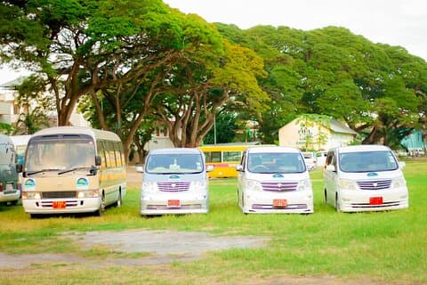 Transfert privé de l'aéroport de Zanzibar à Kiwengwa