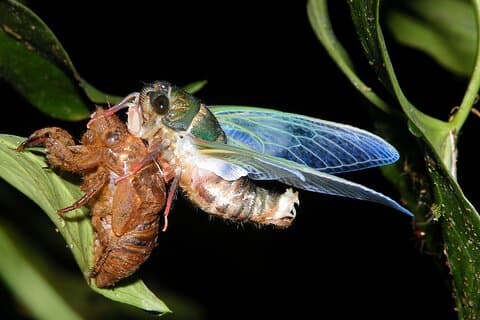 Nachtwanderung in kleiner Gruppe in Monteverde