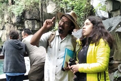 Birdwatching nel Parco Nazionale di Uruapan