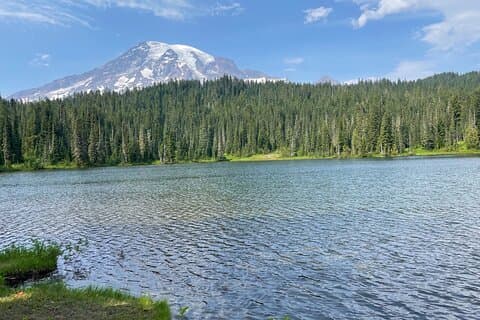 Ganztägige private Tour zum Mt. Rainier Nationalpark im SUV in