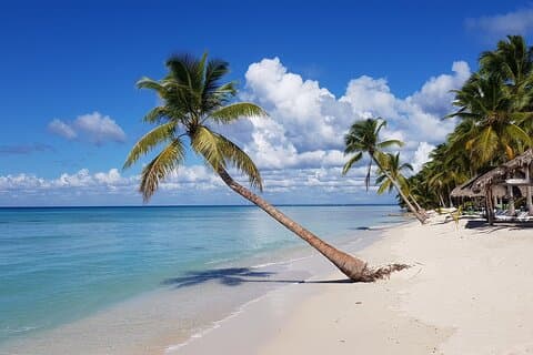 Dagexcursie naar het eiland Saona vanuit Bayahibe met lunch