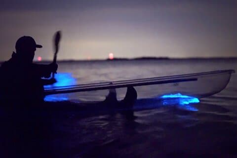 Florida Bioluminescence Clear Kayak tour/ Baken 42 (Titusville)