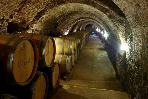 Ribera del Duero : 4 Weingüter, Verkostung & Mittagessen inklusive aus Madrid