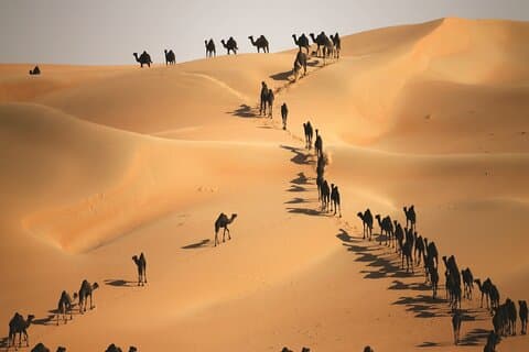 Liwa Dunes: Full dag 4x4 Safari-eventyr fra Abu Dhabi