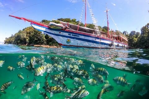 Angra dos Reis og Ilha Grande, bådtur fra Rio frokost og transport