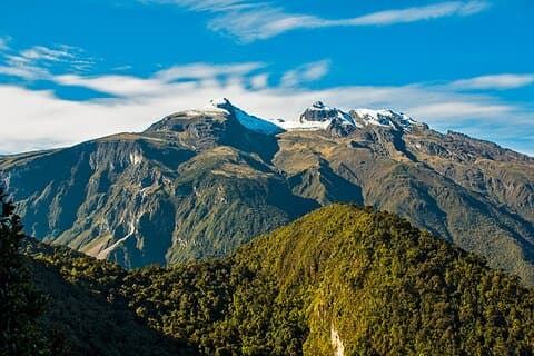 Experiencia de Naturaleza y Observación de Aves en la Reserva Yanachocha