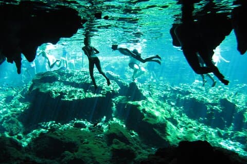 TOUR CENOTE ET SNORKELING AVEC LES TORTUES (Privé)