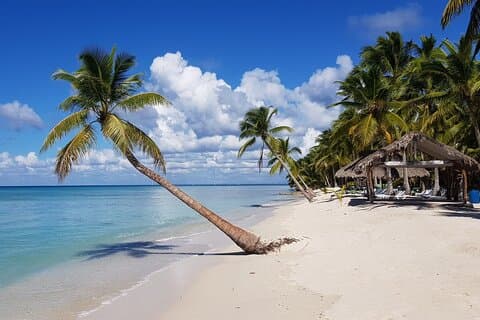 Tagesausflug zur Insel Saona + Hummer in Cap Cana . inbegriffen