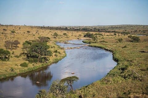 5 Day Camping Safari at Lake Manyara, Serengeti and Ngorongoro