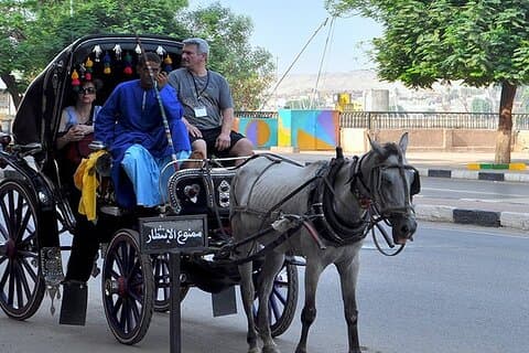 Stadstur i Luxor med hästvagn