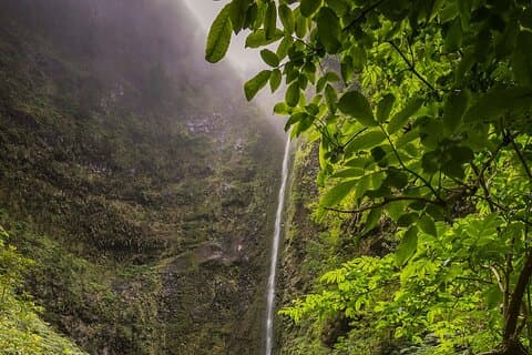 Caldeirão Verde Levadas Walk in Madeira