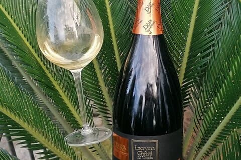 Tour Ercolano Scavi,Pranzo e Degustazione Vini da Sorrento