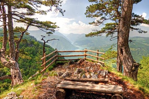 Heldagstur fra Beograd: Drina River House og Tara Park Tour