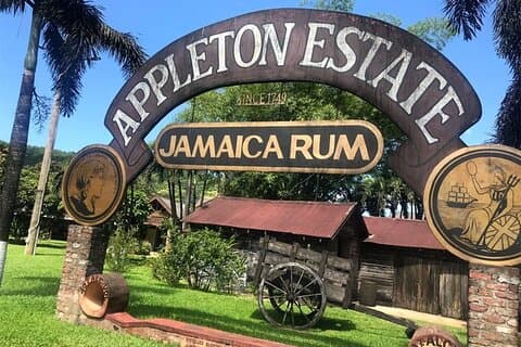 Appleton Estate Rum Factory och YS Falls inklusive turer från Montego Bay