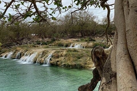 Halvdags privat Salalah East Tour