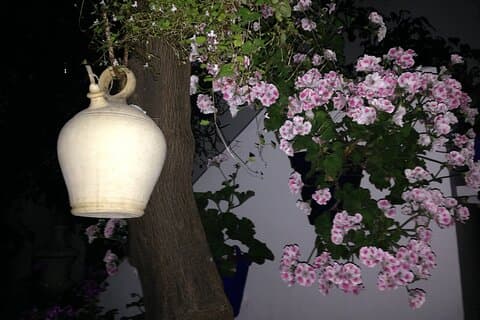 Cordoba Patios Private Tour Tickets inklusive