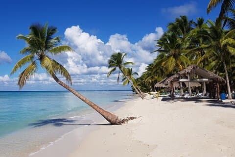 Tour di un'intera giornata dell'isola di Saona da Punta Cana