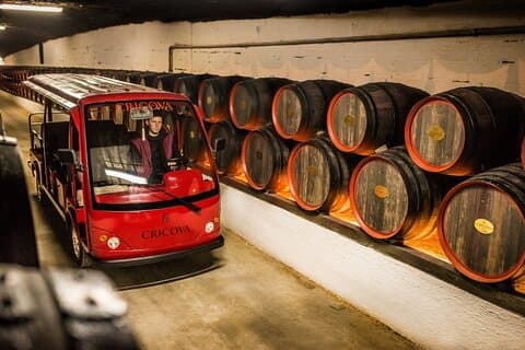 Il meglio della Moldavia: tour della cantina Cricova e dell'antica Orhei, incluso il monastero di Curchi