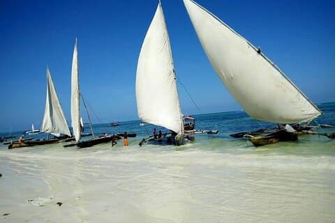 Zanzibar Full Day Mnemba Island, Nungwi en Kendwa Beach Tour