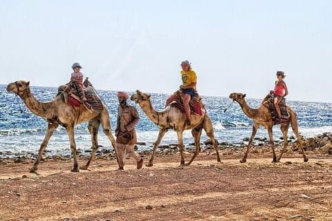 Sightseeingtur til Dahab fra Sharm El Sheikh