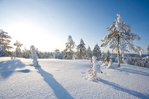 Snöskovandring, isfiske och grillning i arktisk natur från Rovaniemi