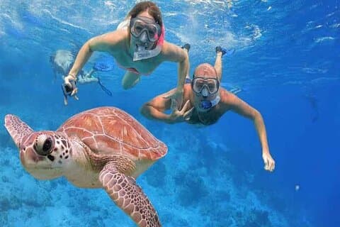 Privat dag i Sharm El Sheikh fra Kairo med fly