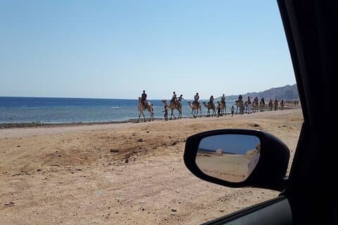 Snorkling och kameltur med lunch i Dahab från Sharm El Sheikh