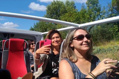 Open Top Van!! Half Day in Chianti with Wine Tasting