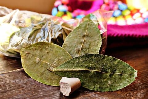 Coca Leaf Oracle Reading (Private Online-Zoom-Sitzung)