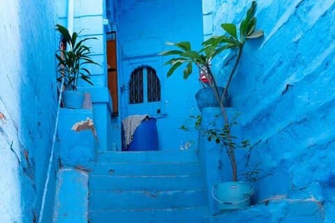 Experimente las clases de cocina con Blue City Walking Tour