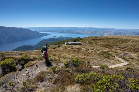 Fiordland Heli-hike from Te Anau