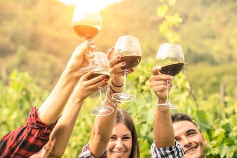 Barossa og Hahndorf vinsmagning og sightseeingtur