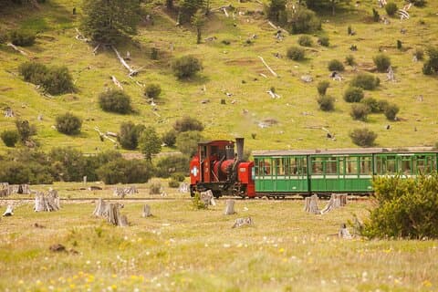 Parque Nacional y Viaje en Tren Fin del Mundo Tour Guiado