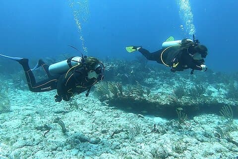 2 Tank Reef-duik in Mexico